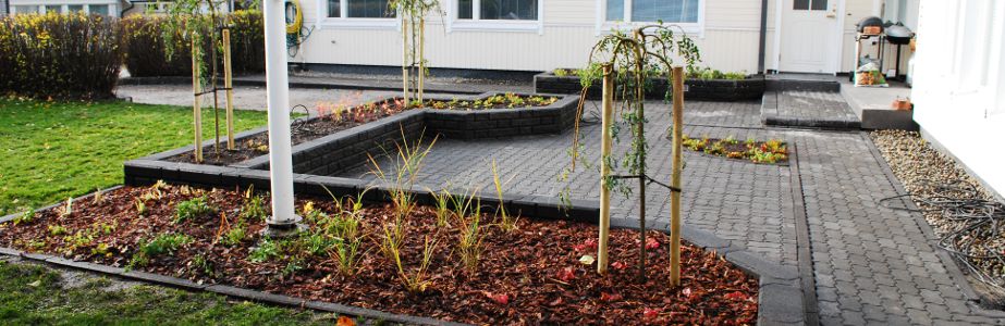 gardsplan-tradgard-skotsel